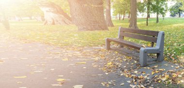 Sonbahar parkındaki eski ahşap bank. Şehir mimarisi, ahşap banklar, açık sandalye, şehir mobilyası, boş tahta koltuk, dinlenme alanında rahat bank