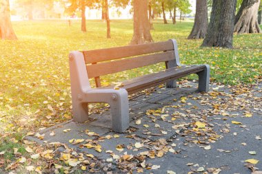 Sonbahar parkındaki eski ahşap bank. Şehir mimarisi, ahşap banklar, açık sandalye, şehir mobilyası, boş tahta koltuk, dinlenme alanında rahat bank