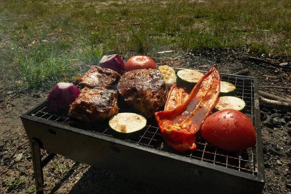 Small Grill Barbecue Bbq Flame Smoke Mini Barbecue Outdoor Recreation — Stock Photo, Image