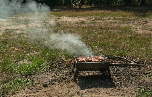 Small Grill Barbecue Bbq Flame Smoke Mini Barbecue Outdoor Recreation — Stockfoto