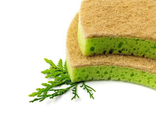 Natural Sponge Isolated Green Brown Sponges Body Care Concept Eco — Stock Photo, Image