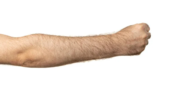 Homens Peludos Punho Isolado Uma Mão Pessoa Cortada Punho Homem — Fotografia de Stock