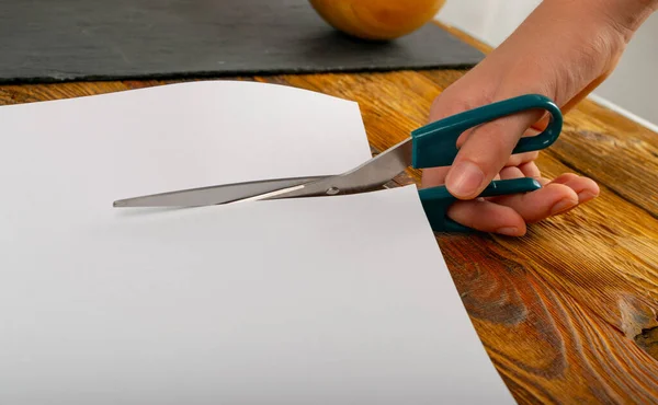 Scissors cutting paper. Hand with scissors cuts white paper piece closeup
