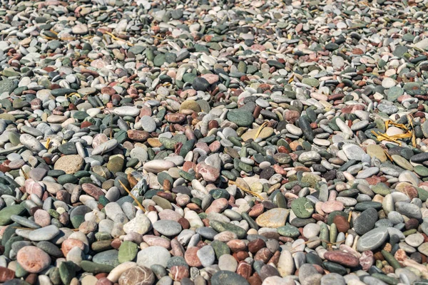 Colored Pebble Beach Texture Background Multicolored Rocky Shore Pattern Summer — Stock Photo, Image