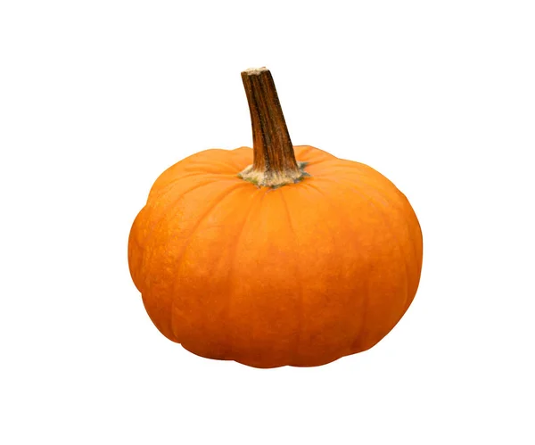 Calabaza Aislada Calabaza Redonda Blanca Naranja Calabazas Otoño Aisladas Con — Foto de Stock