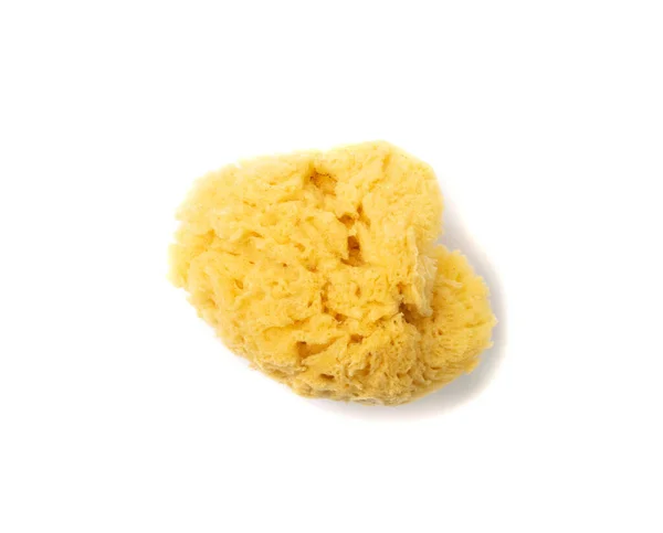 Natural Sponge Isolated Yellow Sponges Closeup Eco Body Care Concept — Zdjęcie stockowe