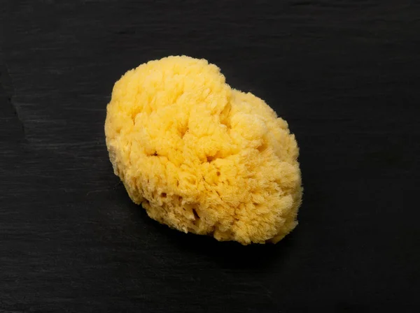 Natural sea sponge on black background. Yellow sponges, eco body care concept, eco friendly hygiene accessory closeup