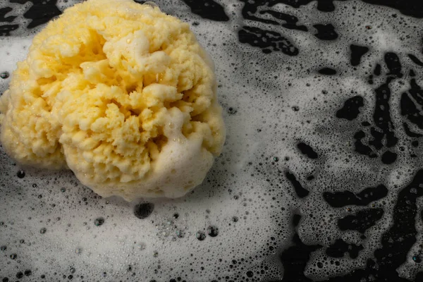Natural sea sponge with soap foam on black background with copy space. Yellow sponge mockup, eco body care concept, eco friendly hygiene accessory mock up