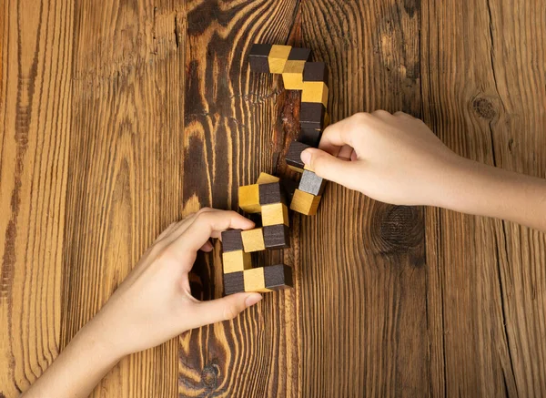 Piezas Rompecabezas Madera Manos Niños Desafío Para Mente Bloque Juego —  Fotos de Stock