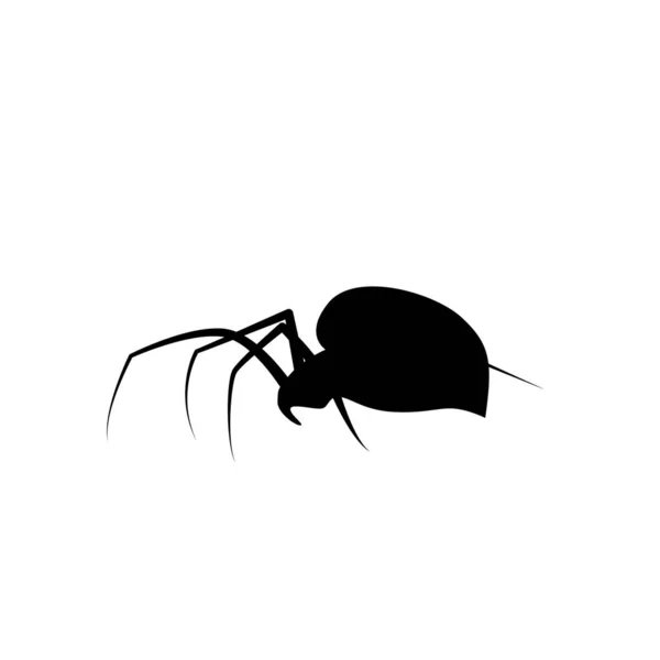 クモのアイコン黒い未亡人のシルエット ハロウィーンの動物のシンボル アラクニドのサイン バグのピクトグラム スパイダーベクトルのアイコンが隔離された — ストックベクタ