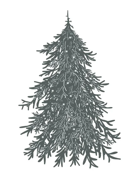 Tanne Weihnachtsbaum mit Lichtern, Vektordarstellung isoliert auf weißem Hintergrund — Stockvektor