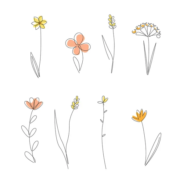 Kontinuierliche Linienzeichnung Set von Wildwiesen-Pflanzen. Honig Blumen isoliert auf weißem Hintergrund, eine Linie Illustration. Vector Minimalist Prints Set — Stockvektor