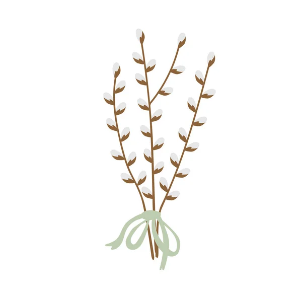 Pussy willow branches bouquet. Vector illustration — Stock Vector