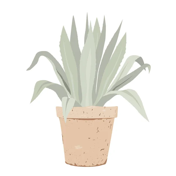 Blue Agave in a stylish old flower pot, flat vector illustration. Potted Meditteranean garden plant — Vector de stock