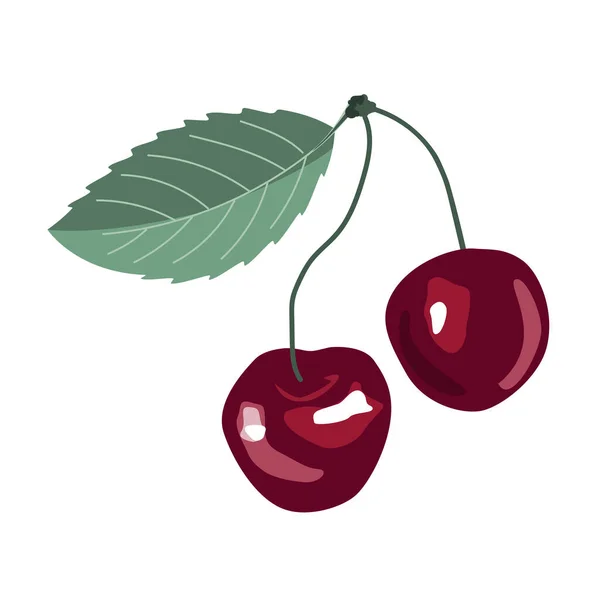 Fresh Cartoon Red Pair Cherries Icon Logo Emblem Isolated White — Διανυσματικό Αρχείο