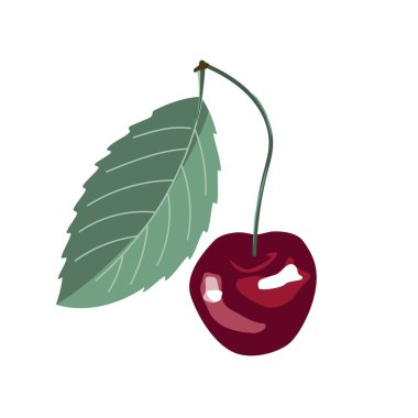 Beyaz arka planda izole edilmiş taze kırmızı kiraz. Simge ya da amblem tasarımı. Herhangi bir tasarım için vektör illüstrasyonu.