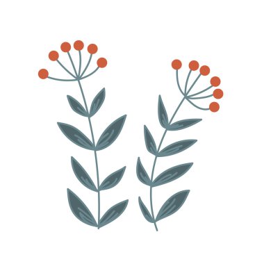 Doodle plant with branches and berries. Summer or autumn decorative herb. Forest floral vector element isolated on white. Vector illustration