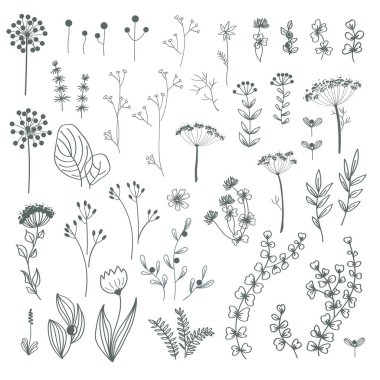 Sonbahar ormanı bitkileri, çiçekler, çiçek elementleri. Vektör el çizimi bitkiler ve mantarlar. Özet olarak izole edilmiş tasarım ögeleri.