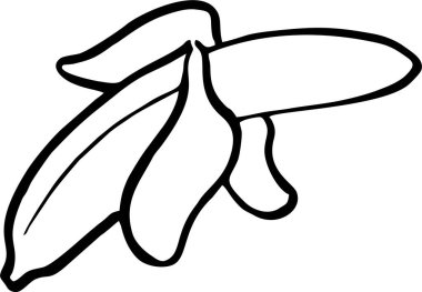 Muz çizgisi sanatı, el çizimi çizimi, vektör çizimi