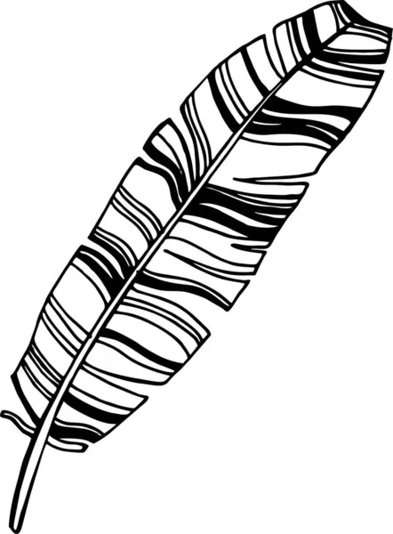 Banane Feuille Ligne Art Dessin Main Croquis Illustration Vectorielle — Image vectorielle