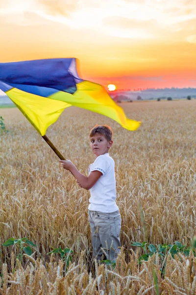 Happy Smiling Boy National Ukrainian Embroidered Shirts Hold Large Yellow — Stock Photo, Image