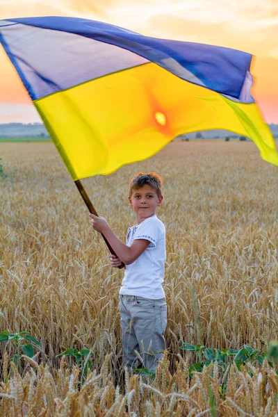 Счастливый Улыбающийся Мальчик Национальных Украинских Вышитых Рубашках Держит Большой Желто — стоковое фото