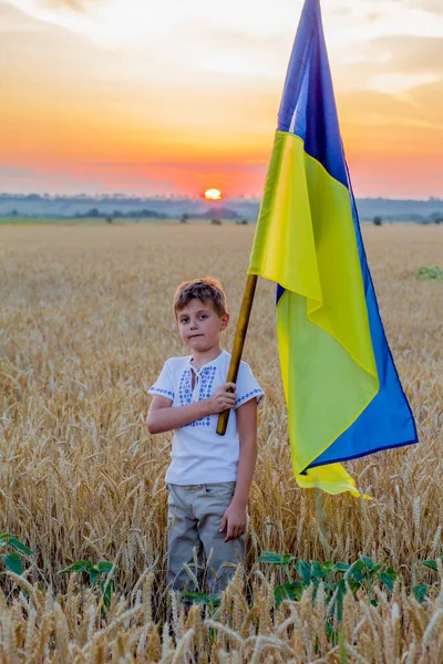 Счастливый Улыбающийся Мальчик Национальных Украинских Вышитых Рубашках Держит Большой Желто — стоковое фото