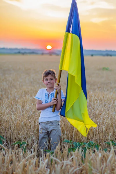 Happy Smiling Boy National Ukrainian Embroidered Shirts Hold Large Yellow — Stock Photo, Image