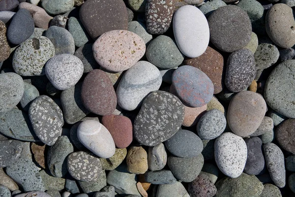 Камни Черноморского Пляжа Крупный План — стоковое фото