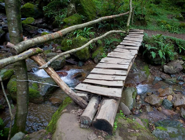 Dağ nehri üzerinde küçük tahta bir köprü. Gürcistan manzarası.