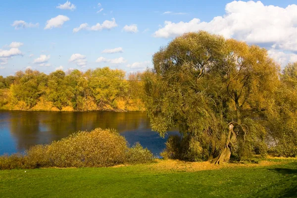 美丽的秋天风景 在阳光灿烂的日子里 有一条河 俄罗斯的性质 — 图库照片