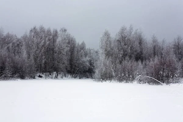 美丽的风景 雪覆树木 多云的天空 俄罗斯的冬天 — 图库照片