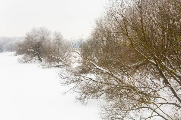 Замерзшая Река Клязьма Деревья Берегу Московской Области Зима России — стоковое фото