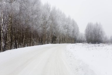Rus kırsal yolu beyaz karla kaplı. Yol kenarında karla kaplı huş ağaçları var..