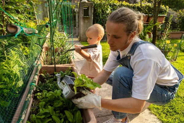 Πατέρας Και Κόρη Φυτεύουν Βότανα Στον Κήπο Ανοιξιάτικο Θέμα Φύτευσης Φωτογραφία Αρχείου