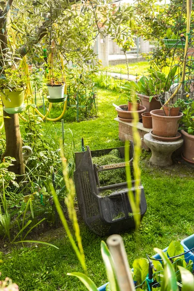 Καλοδιατηρημένος Κήπος Κόψτε Γρασίδι Και Γλάστρες Έννοια Πράσινου Κήπου Άνοιξη Royalty Free Εικόνες Αρχείου