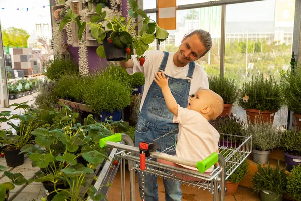 Father Young Farmer Daughter Selecting Plants Planting Big Garden Shop Fotografie de stoc