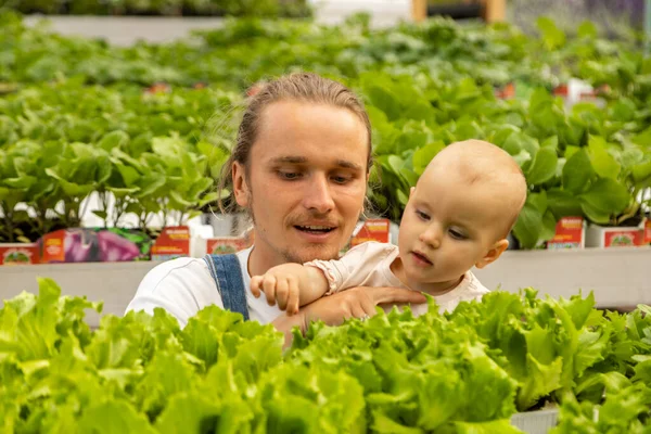 Πατέρας Είναι Νεαρός Αγρότης Και Κόρη Επιλέγουν Φυτά Για Φύτευση Εικόνα Αρχείου