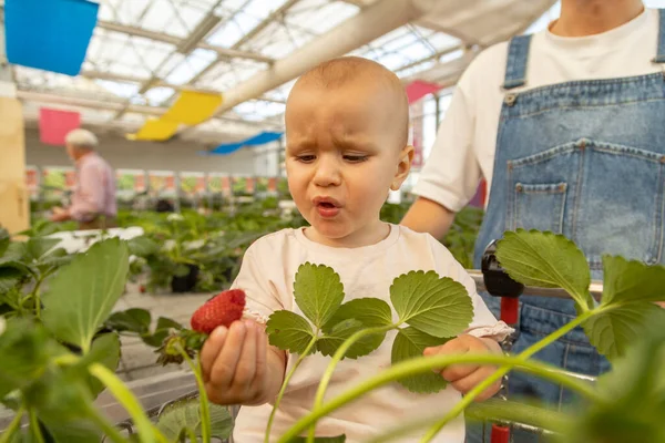 Father Young Farmer Daughter Selecting Plants Planting Big Garden Shop Fotografie de stoc