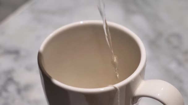 Slow pouring water into a cup of tea. tea brewing — Stock Video