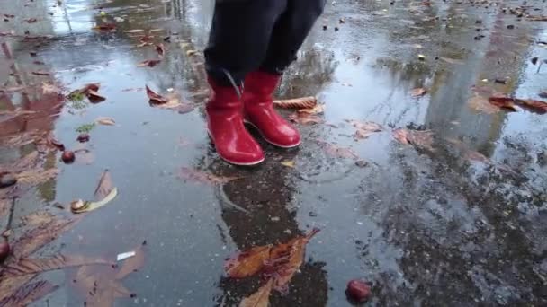 Botas vermelhas são grandes passos para a poça. close-up de slow mo. poças de outono — Vídeo de Stock
