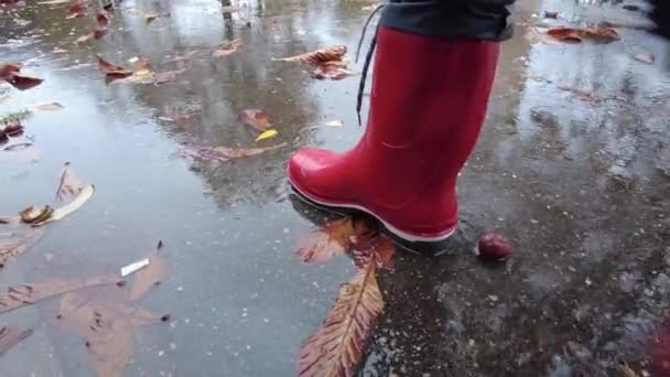 Las botas rojas son pasos grandes en el charco. primer plano de mo lento. charcos de otoño — Vídeo de stock