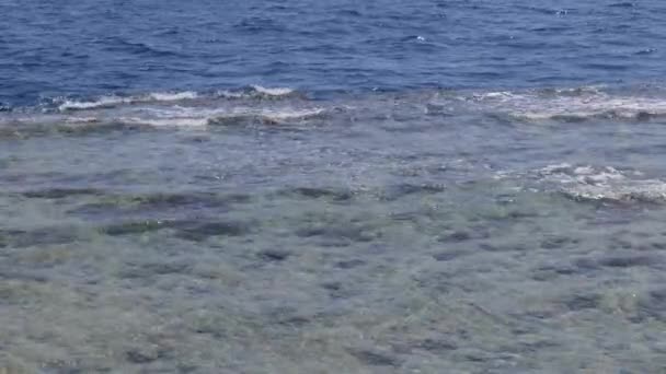 Widok na fale na plaży koralowej w Egipcie — Wideo stockowe