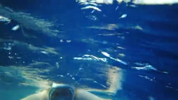 Búvárlány. lány úszik sekély vízben Egyiptomban visel maszkot — Stock videók
