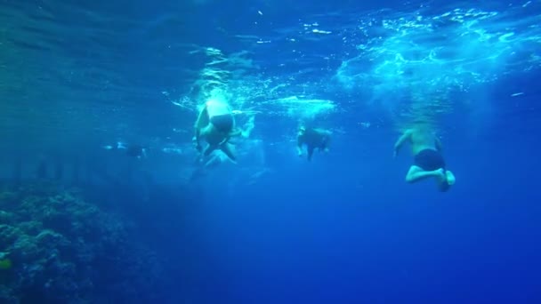Sharm El Sheikh, Egypt 2021 년 10 월. 바다 표면에서 수영하는 관광객 — 비디오