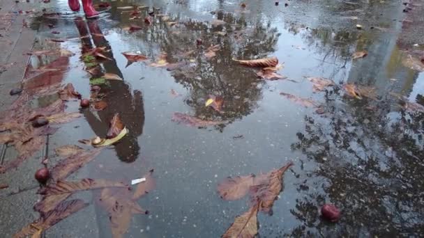 Rote Stiefel sind große Schritte in die Pfütze. Nahaufnahme von Zeitlupe. Herbstpfützen — Stockvideo