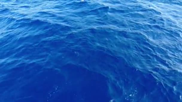 Onde blu del mare rosso. vista da una barca in movimento — Video Stock