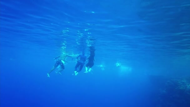 Sharm El Sheikh, Egipto Octubre 2021. turistas en la superficie del mar nadan en el mar rojo — Vídeo de stock