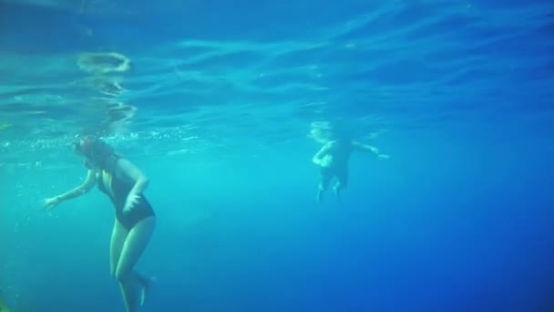 Sharm El Sheikh, Egyiptom Október 2021. turisták a tenger felszínén úszni a vörös tengerben — Stock videók