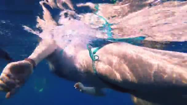 Дівчина снорклінг. дівчина плаває в мілководді в Єгипті в масці — стокове відео